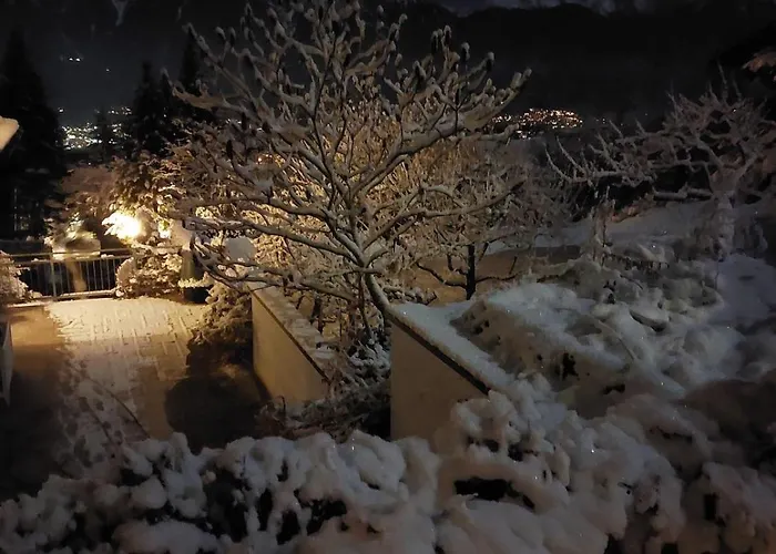 Freiraum * 인스브루크